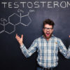 Тестостерон – важнейший андроген