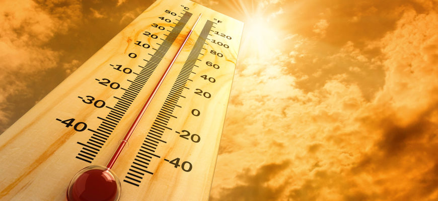 Как пережить аномальную жару?