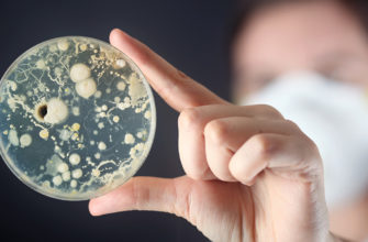 Загадочная бактерия уреаплазма